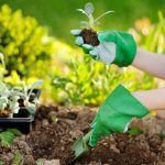 Four DIY property makeovers to liven up your home