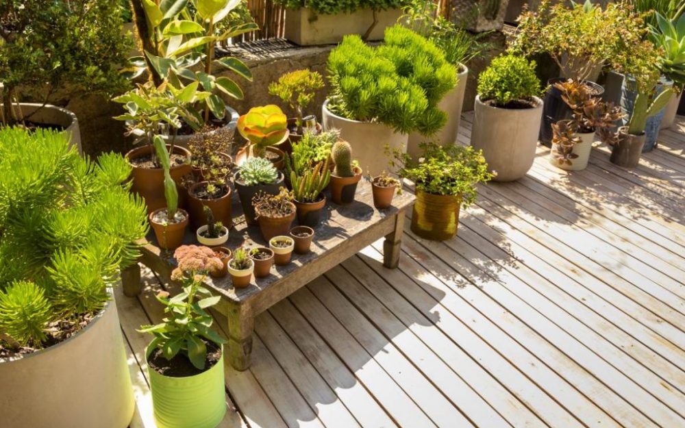 Look outside your property box