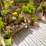 Look outside your property box
