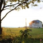 Urban, regional or rural?