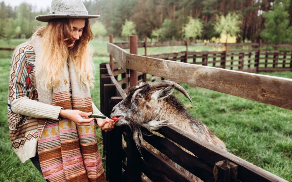 How best to enjoy a successful rural lifestyle