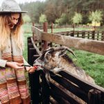 How best to enjoy a successful rural lifestyle How best to enjoy a successful rural lifestyle