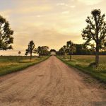 Ins and outs of escaping to the country Ins and outs of escaping to the country