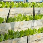 How to create a portable vertical garden