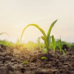 Alternative growth areas for real estate investors