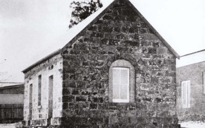 Discover Shellharbour City Museum