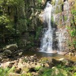 Minnamurra Falls and Rainforest Walk 😍 in Budderoo National Park 🌳 20km from Shellharbour 🌊