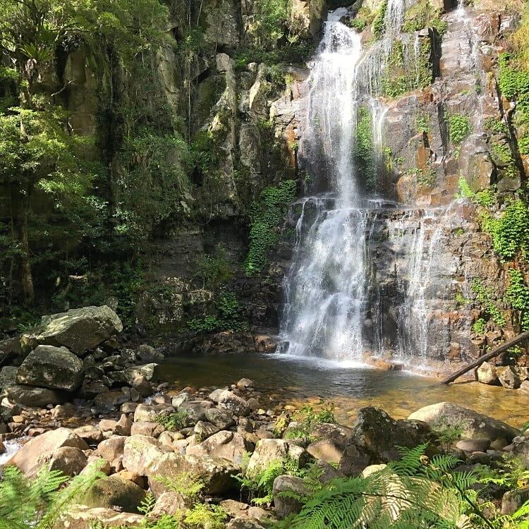 Minnamurra Falls and Rainforest Walk 😍 in Budderoo National Park 🌳 20km from Shellharbour 🌊