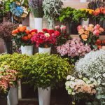 The Shellharbour Illawarra region hosts some great local Boutique and Farmers Markets