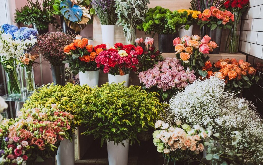 The Shellharbour Illawarra region hosts some great local Boutique and Farmers Markets