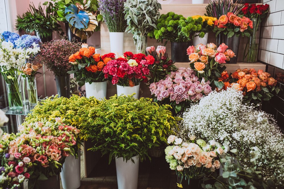 The Shellharbour Illawarra region hosts some great local Boutique and Farmers Markets