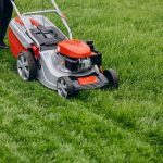 🌳🌺Do your Lawns and Gardens need a Tidy up as we head into Autumn?